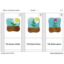 Spring - The Season of Growth	 (Dieser Artikel ist auch in deutsch erhältlich)