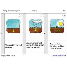 Spring - The Season of Growth (This article is also available in German)