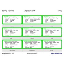 Spring Flowers (This article is also available in German)