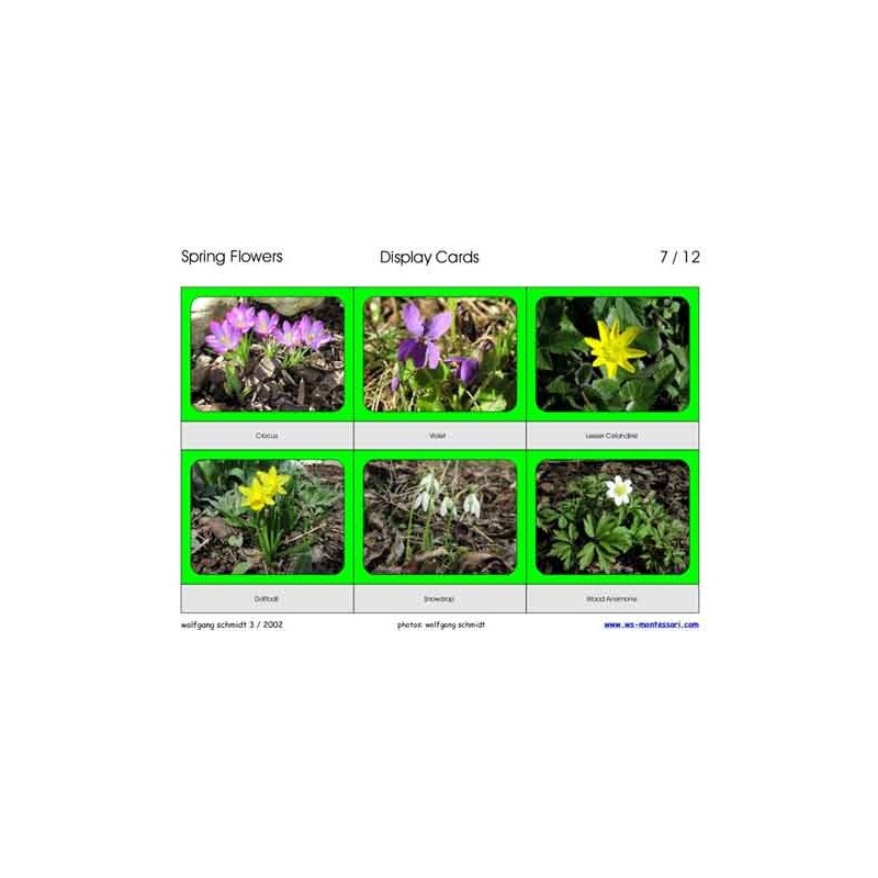 Spring Flowers (Dieser Artikel ist auch in deutsch erhältlich)