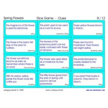 Spring Flowers (This article is also available in German)