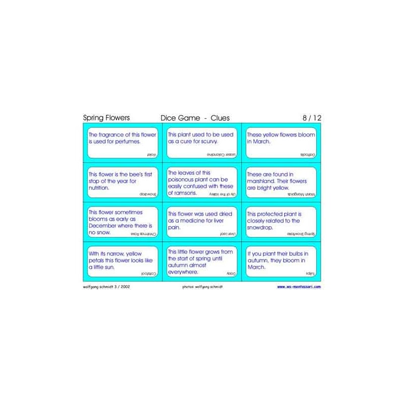 Spring Flowers (This article is also available in German)