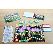 Spring Flowers (This article is also available in German)