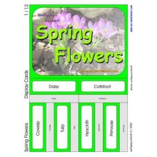 Spring Flowers (Dieser Artikel ist auch in deutsch erhältlich)