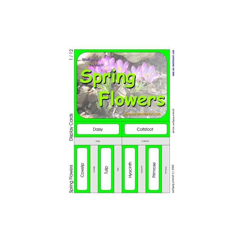 Spring Flowers (This article is also available in German)