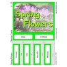 Spring Flowers (Dieser Artikel ist auch in deutsch erhältlich)
