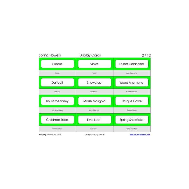 Spring Flowers (Dieser Artikel ist auch in deutsch erhältlich)