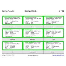 Spring Flowers (This article is also available in German)