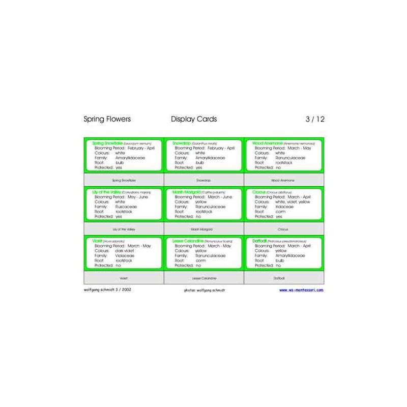 Spring Flowers (This article is also available in German)