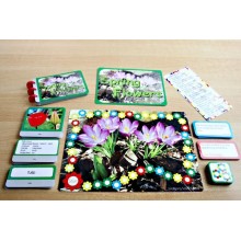 Spring Flowers (This article is also available in German)