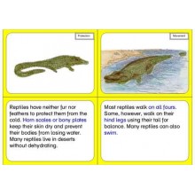Vertebrates