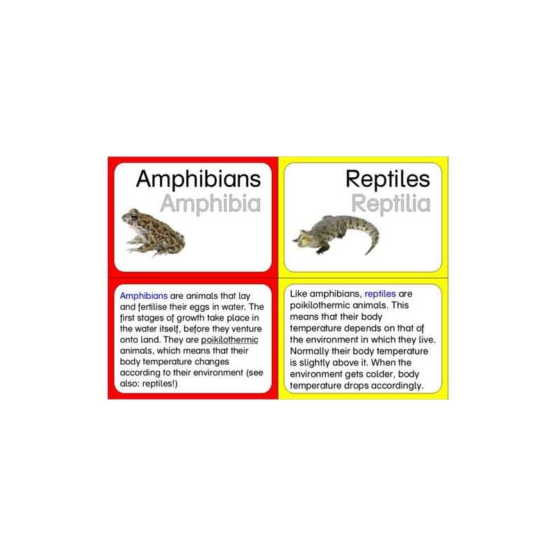 Vertebrates