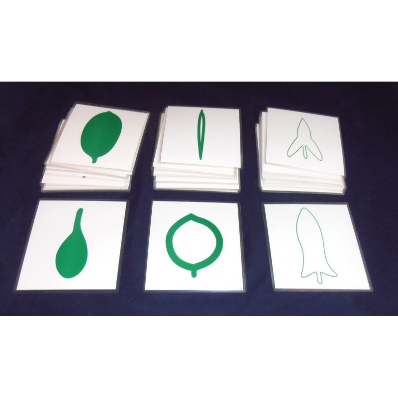 Leaf Cards Leaf Cards