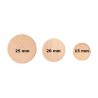 HOLZchips  runde  20 mm Natur HOLZchips  runde  20 mm Natur