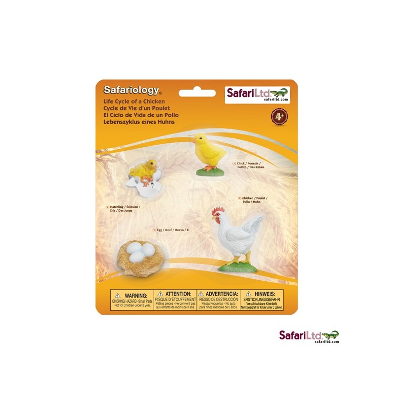 Životný cyklus kurčiat