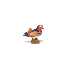 Mandarin duck
