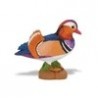 Mandarin duck Mandarin duck