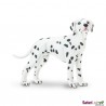 Dalmatian Dalmatian