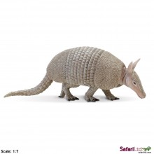 armadillo