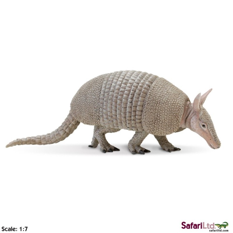 armadillo armadillo
