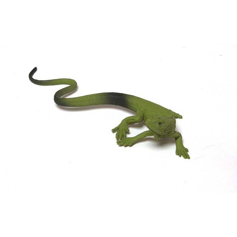 Sada zvieratiek Sada zvieratiek