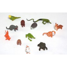 Set of baby animals