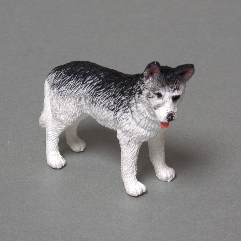 Nastaviť arktický Nastaviť arktický