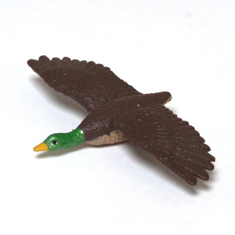 Flußleben Flußleben