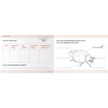 Ich kenne Insekten und Spinnen