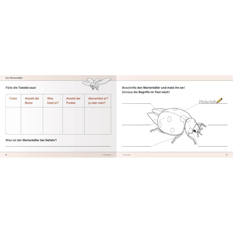 I know insects and spiders I know insects and spiders