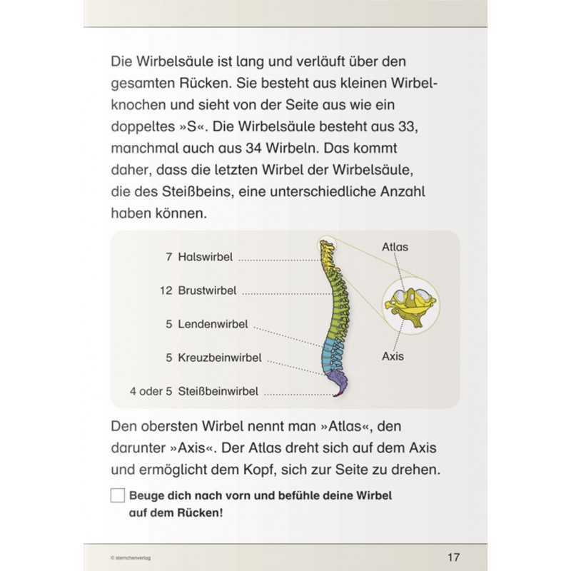 Ich kenne meinen Körper – Skelett, Muskeln und Wirbelsäule Ich kenne meinen Körper – Skelett, Muskeln und Wirbelsäule