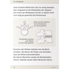 Ich kenne meinen Körper – Skelett, Muskeln und Wirbelsäule