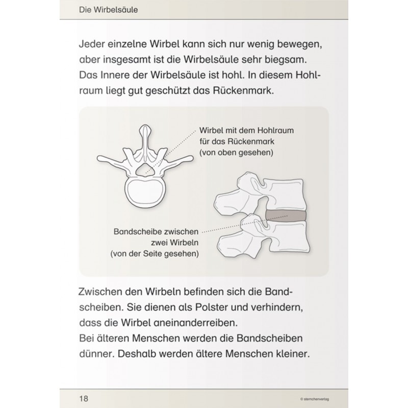 Ich kenne meinen Körper – Skelett, Muskeln und Wirbelsäule Ich kenne meinen Körper – Skelett, Muskeln und Wirbelsäule