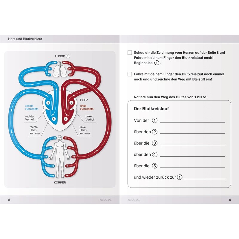 I know my body - blood circulation and breathing I know my body - blood circulation and breathing