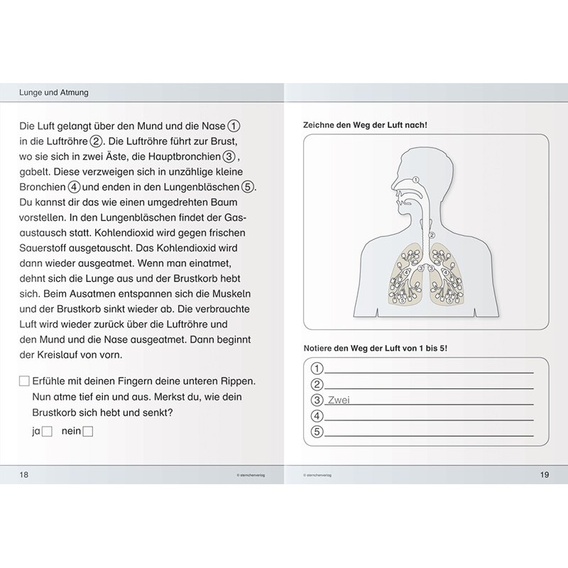 I know my body - blood circulation and breathing I know my body - blood circulation and breathing