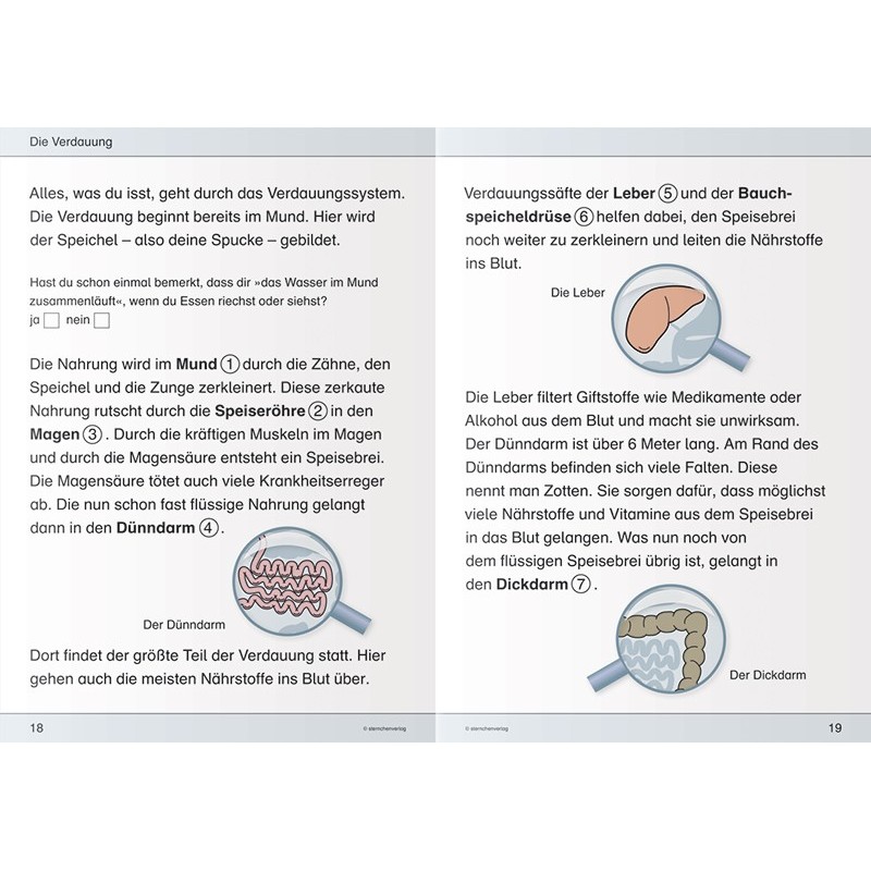 Ich kenne meinen Körper – Ernährung und Verdauung Ich kenne meinen Körper – Ernährung und Verdauung