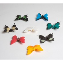 Butterflies