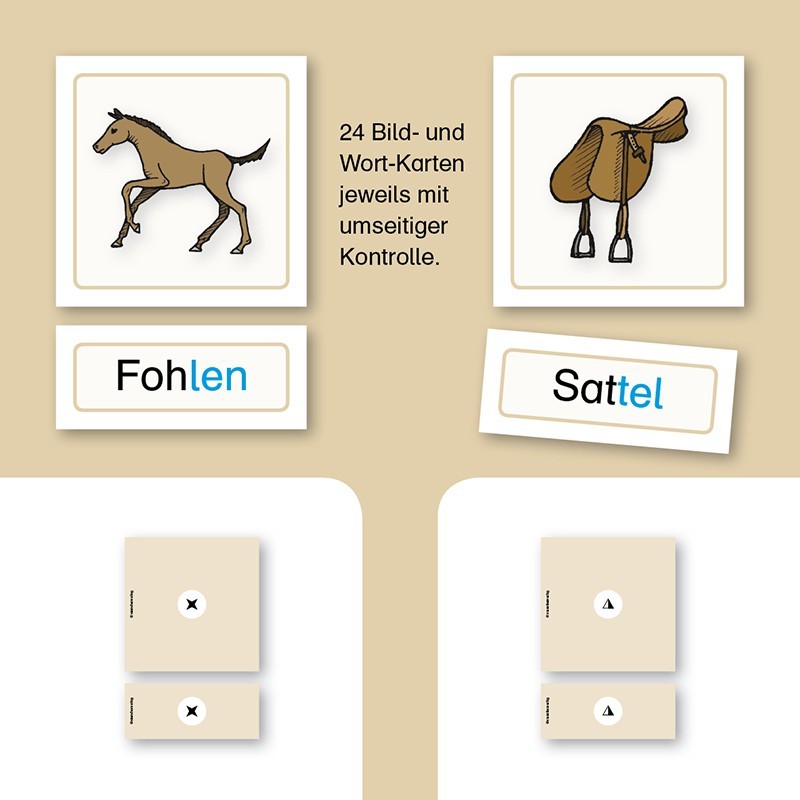 Meine Lesedose 6 - Pferde Wörter Meine Lesedose 6 - Pferde Wörter