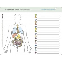 Set of internal organs + board - organs + box