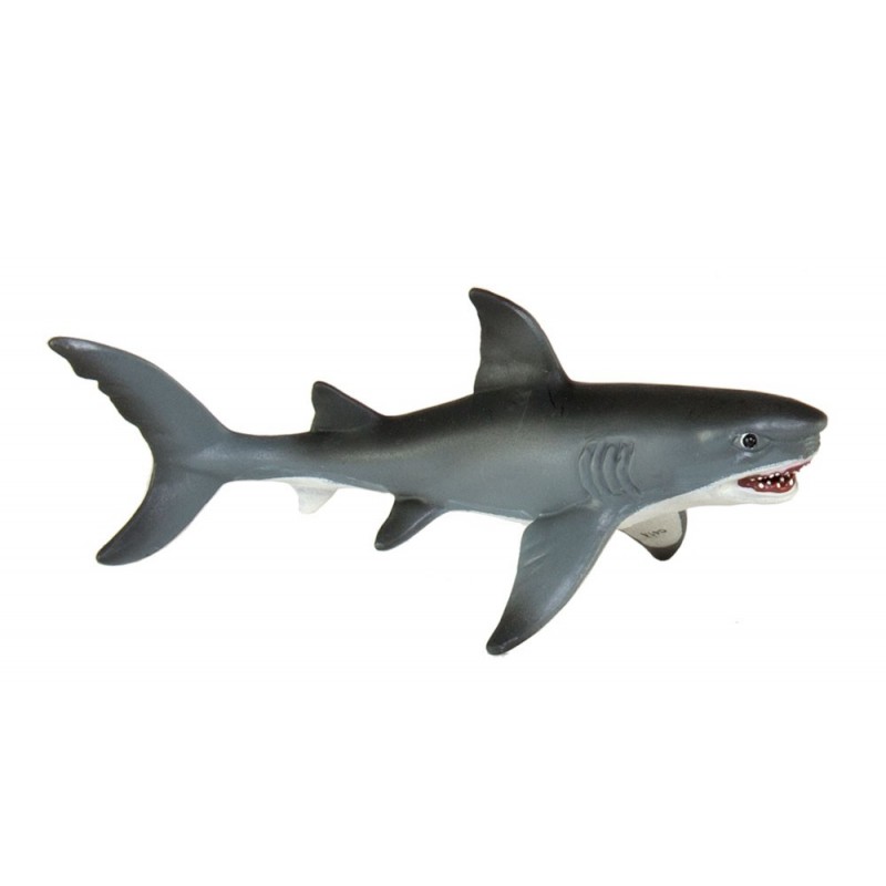 Sada údajov o veku Zeme Sada údajov o veku Zeme