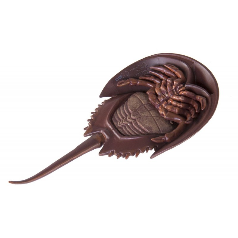 Sada údajov o veku Zeme Sada údajov o veku Zeme