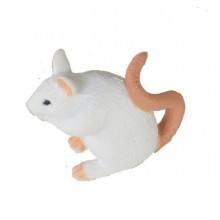 Erdzeitalter Figuren Set