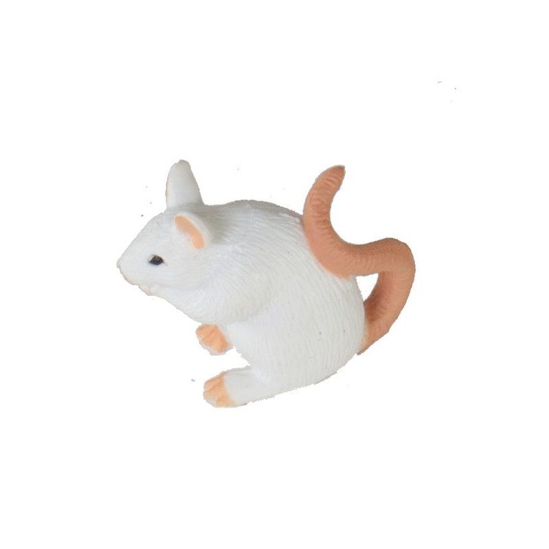 Sada údajov o veku Zeme Sada údajov o veku Zeme