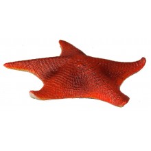 Erdzeitalter Figuren Set