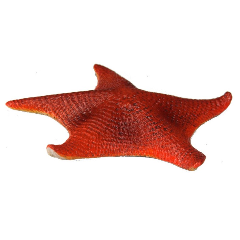 Sada údajov o veku Zeme Sada údajov o veku Zeme