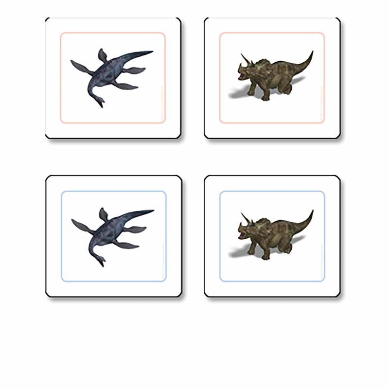 Prezentačný materiál Dinosaur Matching Cards Prezentačný materiál Dinosaur Matching Cards