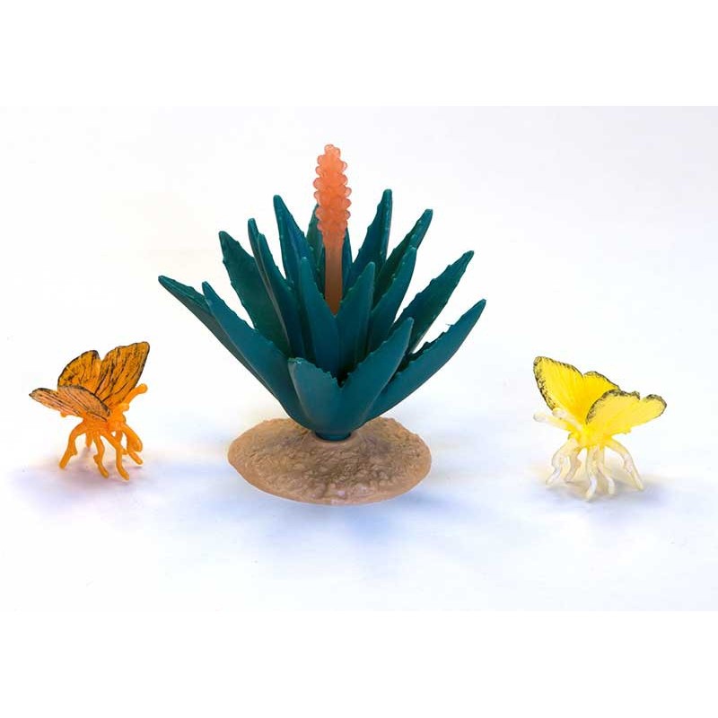 Butterfly set Butterfly set