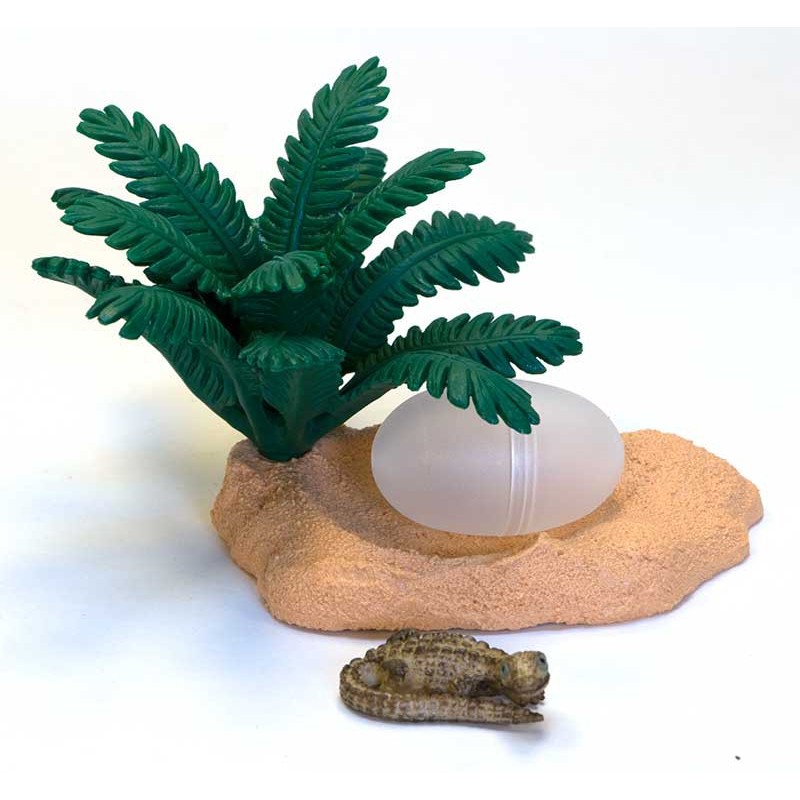 Crocodile nest Crocodile nest