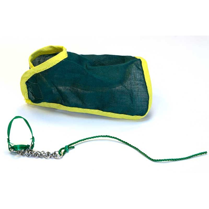 Blanket and halter Blanket and halter