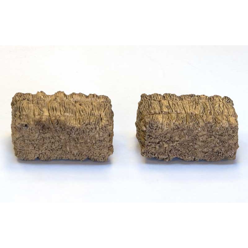 SADA NEWSLETTEROV SADA NEWSLETTEROV